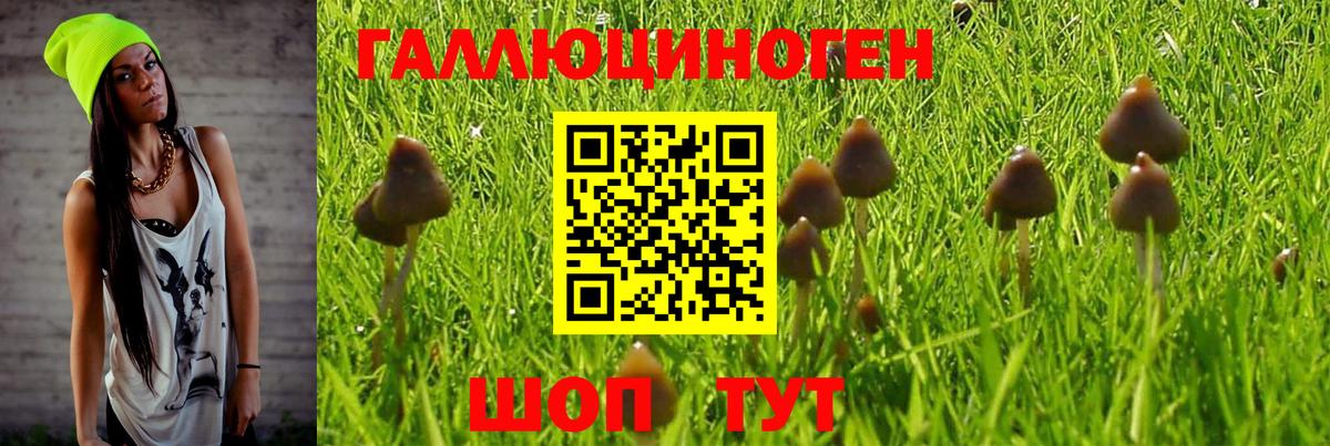 закладка  Псилоцибиновые грибы Psilocybe  Вход с VPN  Галлюциногенные грибы мухоморы  Ялта 