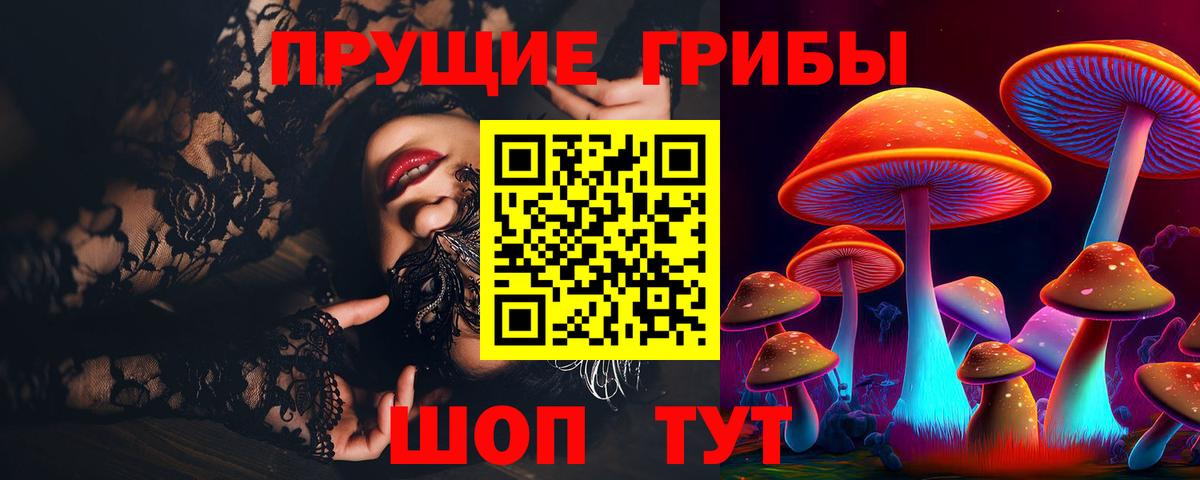 Псилоцибиновые грибы прущие грибы Ялта